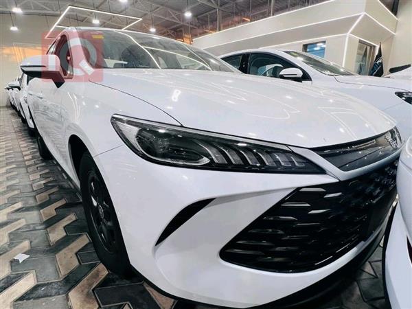 بي واي دي Qin Plus 2025 للبيع في العراق - النجف